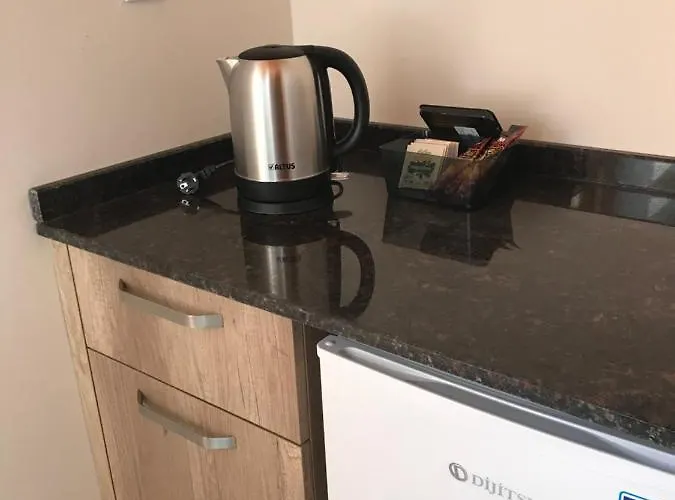 호텔 Mansion 이스탄불